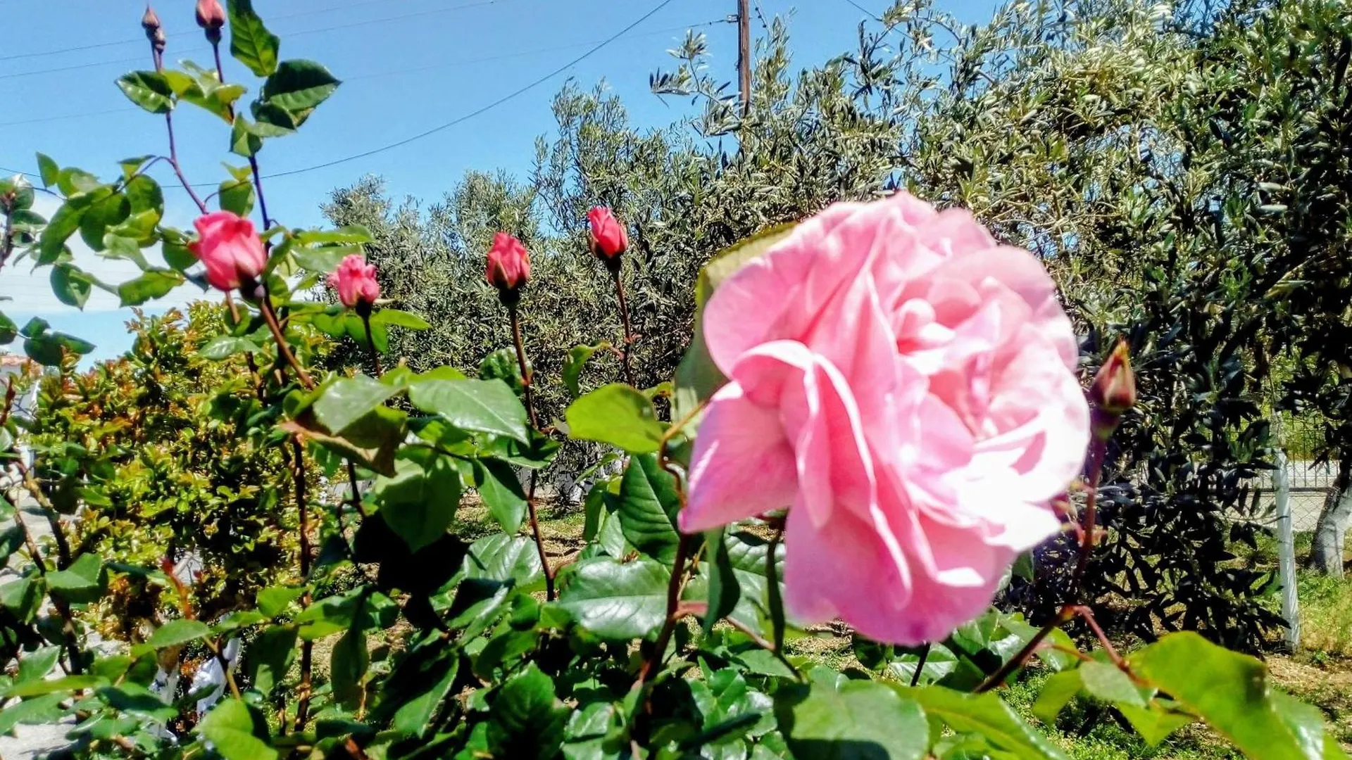 Katerina'S Countryside And Sea House Villa Nea Iraklia